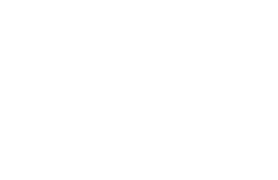Official Selection Short In-Fest III EDITION Mallorca 2019